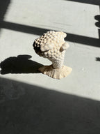 Top view of the beige "Volcano" ceramic sculpture on a concrete surface illuminated by direct sunlight and shadows.